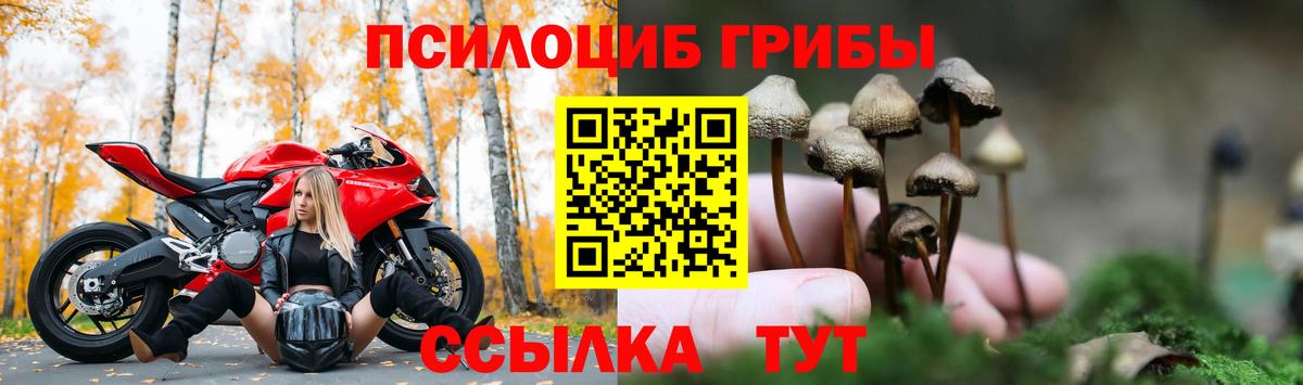Галлюциногенные грибы мицелий  Вход с VPN  где найти   Хасавюрт 